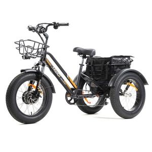 BRAND NEW 750 WATTS ELECTRIC ADULT OFF ROAD TRIKE!